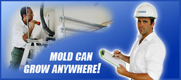 Mold-Can-Grow-Anywhere.jpg